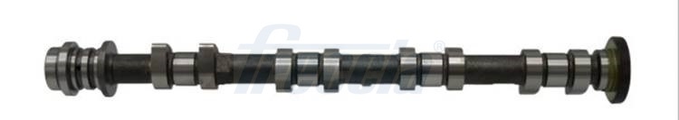 CM05-2402, Nockenwelle, FRECCIA, BM5G6A268AA, 1729163, CM05-2412, EC255, HV0438, T4349